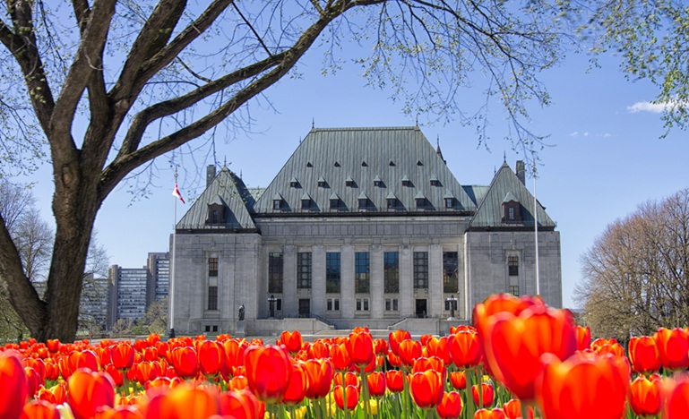 Photo of the front of the Supreme Court of Canada building against a bright blue sky with a field of fully-bloomed red tulips across the bottom